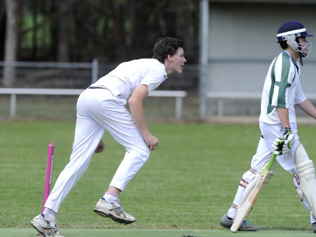 Stats ranked: Hornsby Ku-ring-gai &amp; Hills District Cricket Association.