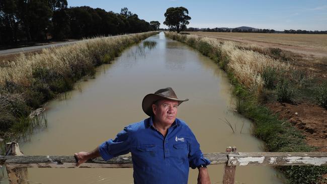 Chris Brooks has called for more water to be given to farmers to grow essential food such as wheat and rice during the coronavirus crisis. Picture: John Feder