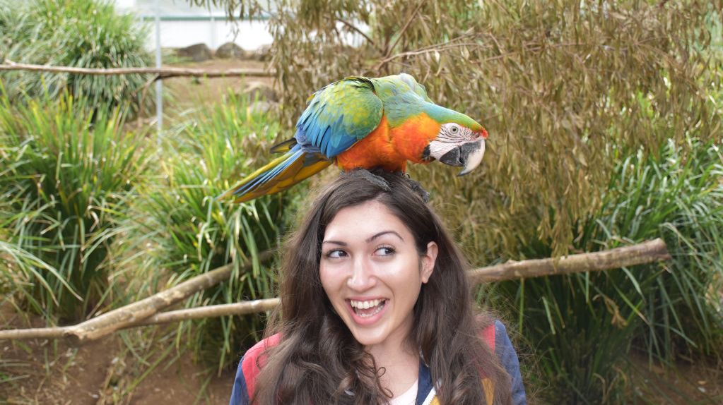 Getting up close with the birds at Maleny Botanic Gardens and Bird World. Picture: Mark Furler