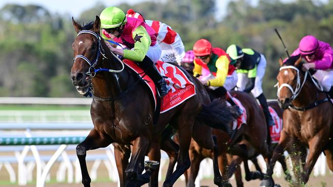 Sheila Laxon is daring to dream of Caulfield and Melbourne Cups with Knight's Choice. Picture: Grant Peters, Trackside Photography.