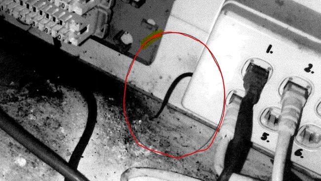 Melbourne City Council photo of evidence of rat activity at Shanghai Master. Circled is a rat tail poking out from power outlet. Supplied.