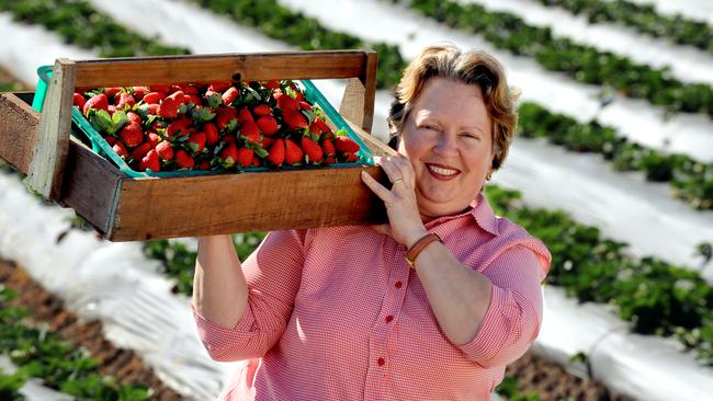 Laura Hendriksen of the Chambers Flat strawberry farm said her water supply would run out by February.