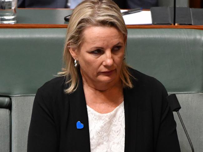 Deputy Liberal leader Sussan Ley. Picture: AAP