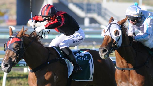 Jockey Tiffani Brooker and trainer John Zielke winning the Gunsynd Classic with Dreams Aplenty at Eagle Farm. Picture: Picture: Natasha Wood, Trackside Photography