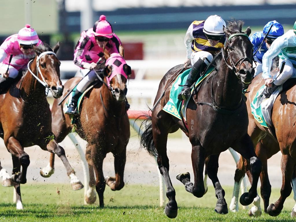 Jockey John Allen rides Harbour Views (AAP Image/Michael Dodge)