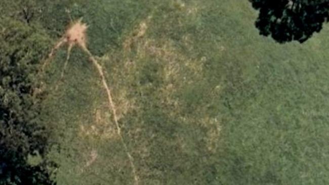 The meant ant trails are so large they can be seen on Google Maps where they resemble path ways.