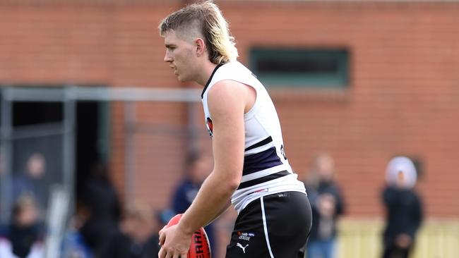 Ewan Mcpherson will be hoping for a shot at AFL with Western Bulldogs this year.