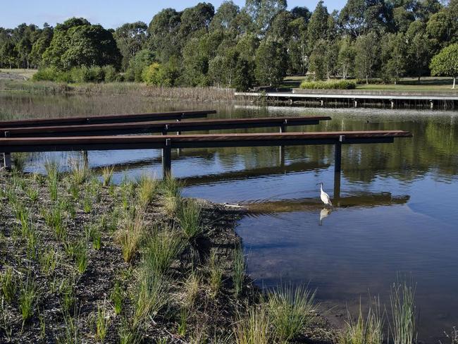 Sydney Park Wetlands To Be Named In Aboriginal Language To Commemorate 