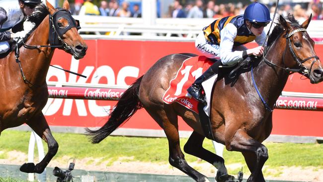 MELBOURNE, AUSTRALIA — OCTOBER 14: Ben Allen riding Lord Fandango wins Race 4, Ladbrokes Herbert Power Stakes during Melbourne Racing on Caulfield Guineas Day at Caulfield Racecourse on October 14, 2017 in Melbourne, Australia. (Photo by Vince Caligiuri/Getty Images)