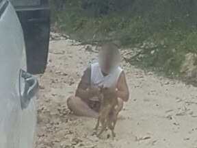 The Brisbane man was photographed on March 17, 2022, allegedly feeding the dingo, known as wongari by the Butchulla people, at the Hook Point southern barge area.