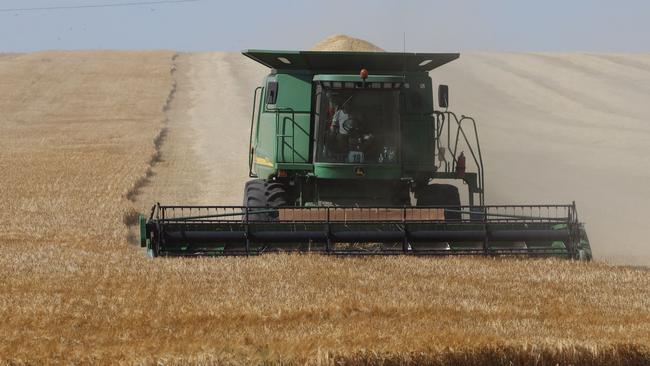 A farmer uses a combine harvester to harvest wheat on a field near Izmail, in the Odessa region, Ukraine, in June. Picture: AFP