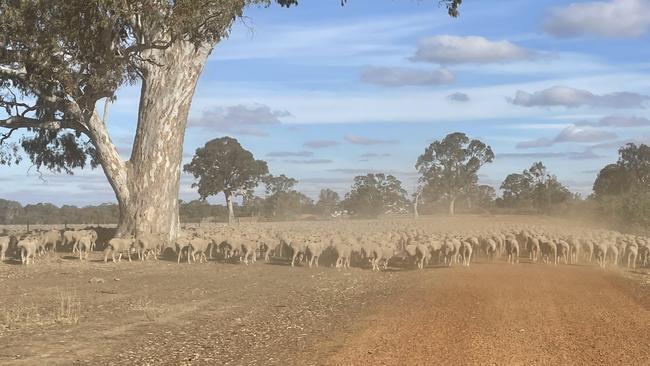 Drought is threatening to cause serious problems for Victorian farmers over summer. Picture: Supplied