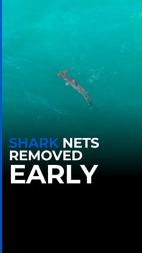 Shark nets to be removed early this summer