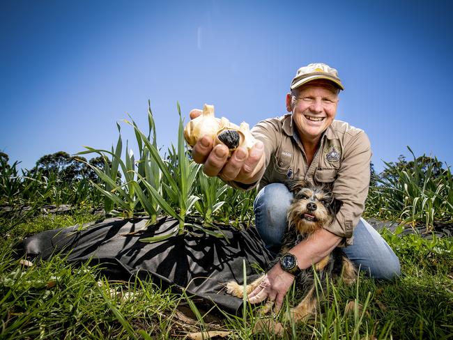 Mark Johnston’s black garlic is used in both sweet and savourity dishes. Pic: Nicole Cleary