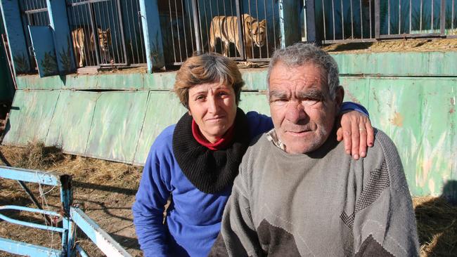 Carers ... The lion cubs Zita and Geeta along with their mum are looked after by Hovhamnes and Alvina Madoyan who live next to the animals to care for them without being paid. Picture: Roger Allen