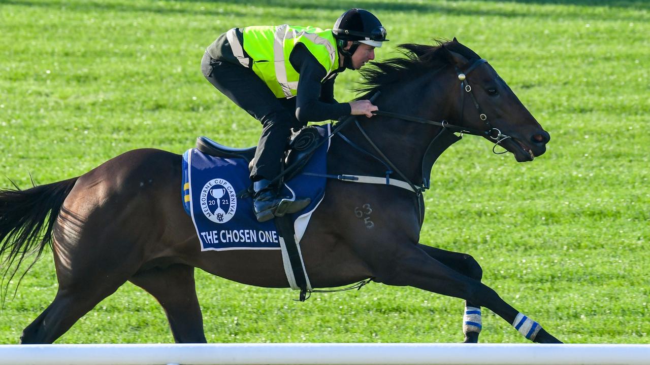 Flemington trackwork