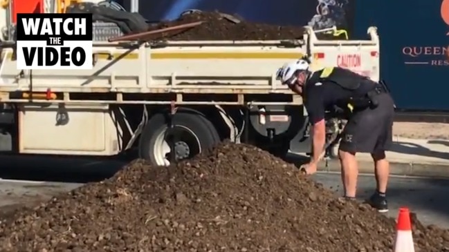 Protesters dump manure in Brisbane CBD (Sunrise)