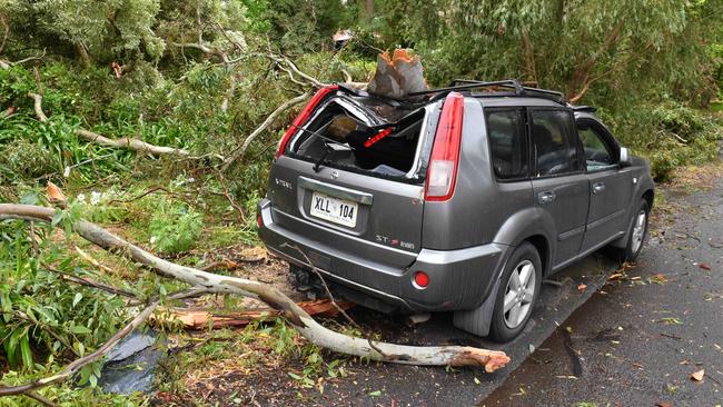 A car was crushed by a falling branch in Blackwood. Picture: Keryn Stevens