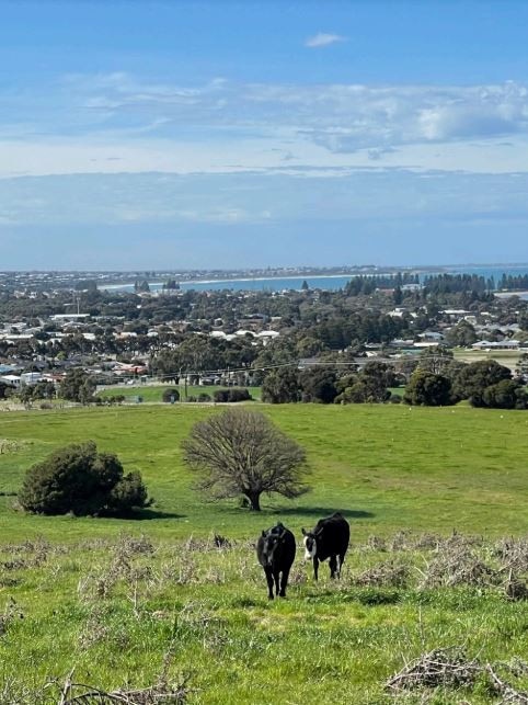 The vacant land at Encounter Bay, where the proposed Ocean View Lifestyle Resort would be built.