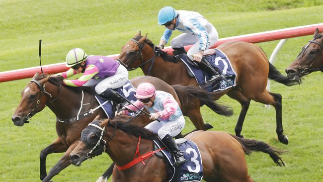 Tom Waterhouse has said he focuses on investing in businesses that provide services to the gambling sector. Picture: Getty Images