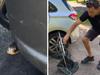 WATCH: Driver’s shock after car ride with deadly snake lurking