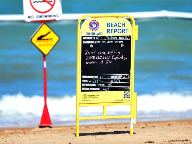 A 2.5m crocodile was spotted off the shores of The Strand, Townsville in 2020. (FILE PHOTO) Picture: Alix Sweeney