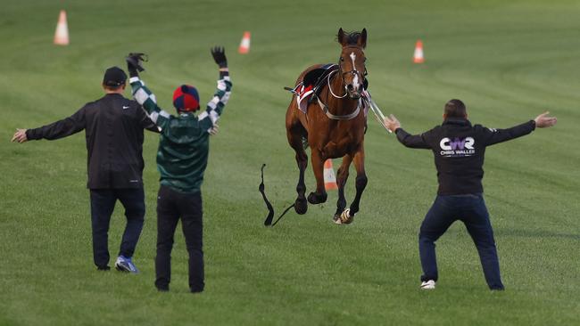 Team Waller attempt to stop Via Sistina after dislodging James McDonald at Breakfast With The Best on Tuesday morning Picture: Michael Klein