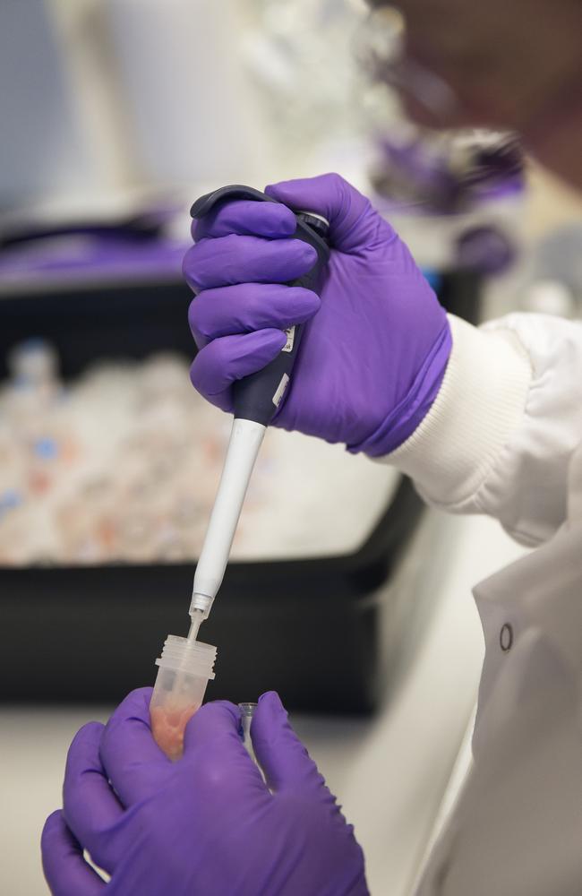A breakthrough from Australian researchers might be tough if funding is cut. Picture: Dan Kitwood / Getty Images