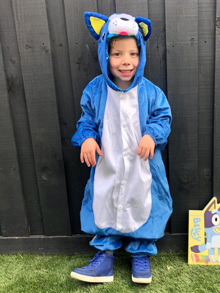 party city bluey costume
