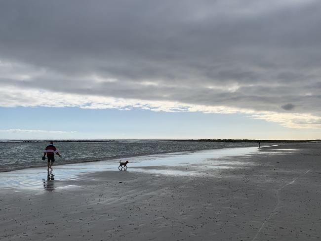 Man and dog on Port Fairy Beach. Picture: Andrea Minter, Irymple.