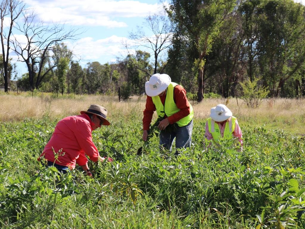 Rural Aid volunteers completing repair works at Wilson's Nursery in Dalveen.