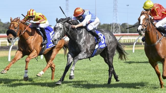 Penitent (centre) looks a good chance at Goulburn on Friday. Picture: Bradley Photos