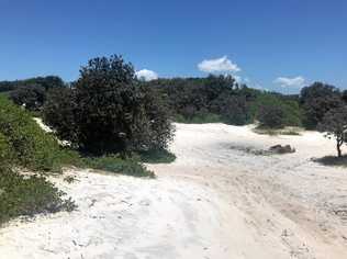 TREASURE IN THE DUNES: According to local legend, there is buried treasure in the dunes at South Ballina.