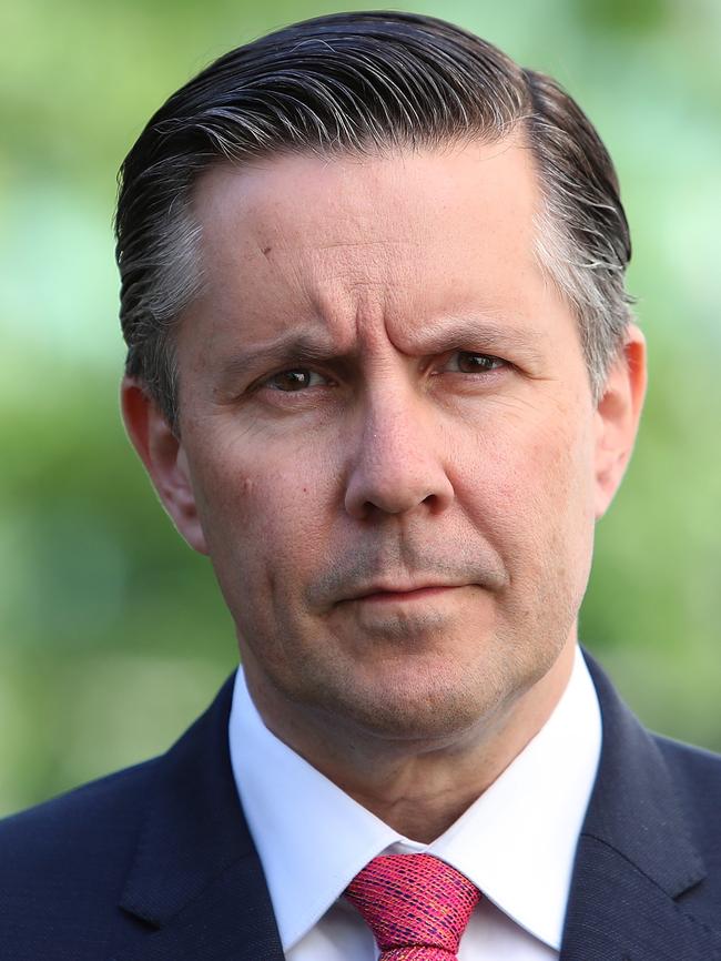 Labor energy spokesman Mark Butler rejects the modelling by Dr Fisher. Picture Kym Smith