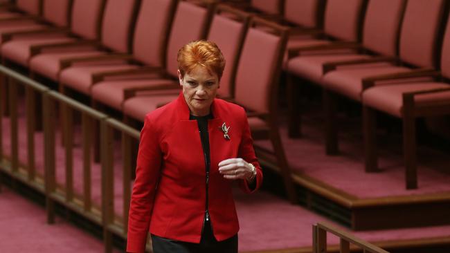 Senator Pauline Hanson  in the Senate Chamber at Parliament House in Canberra. Picture Kym Smith