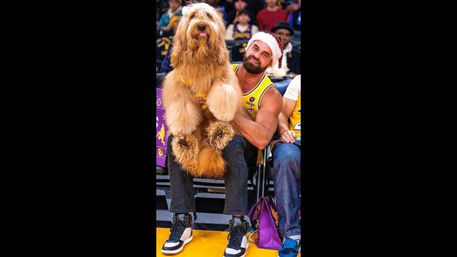 Dog shows skills on NBA court during Lakers game