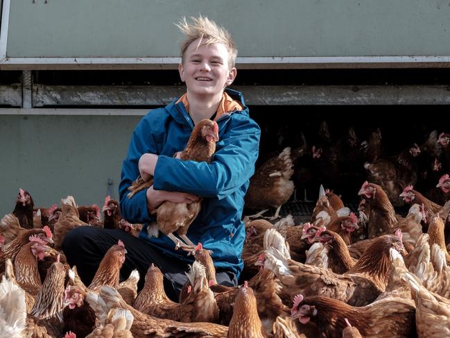 Innovation recognised: Josh’s rainbow Eggs founder Josh Murray at the farm in Monegeetta. Photo: Luis Enrique Ascui