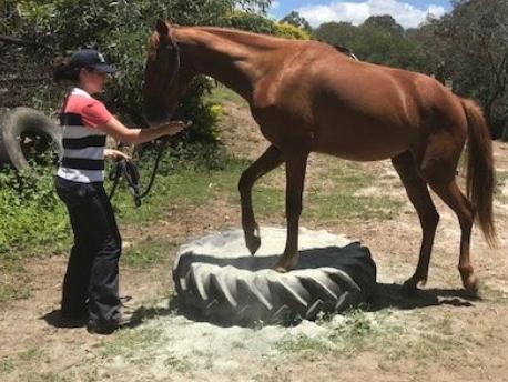 University student Mackenzie Bond, 18,  has volunteered to help farmers in Wagga Wagga hit by the drought.