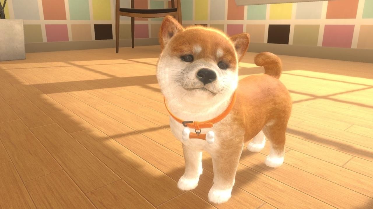 Nintendogs. Picture: Nintendo