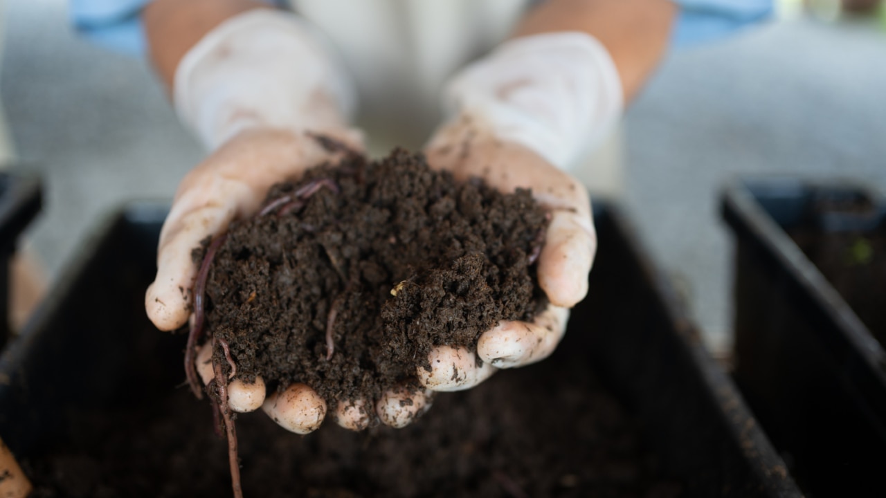 New York legalises human composting