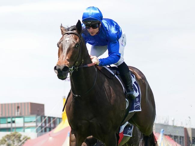 Pisces ridden by James McDonald wins the Catanach's Jewellers Blue Sapphire Stakes at Caulfield Racecourse on November 16, 2024 in Caulfield, Australia. (Photo by Scott Barbour/Racing Photos via Getty Images)