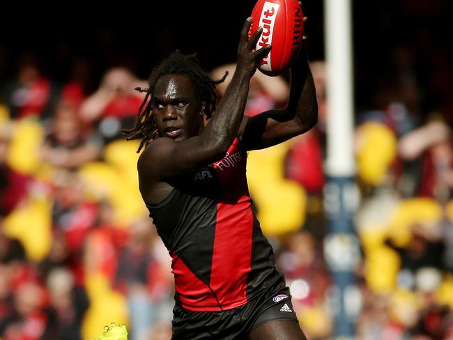 Your club’s rookie draft successes