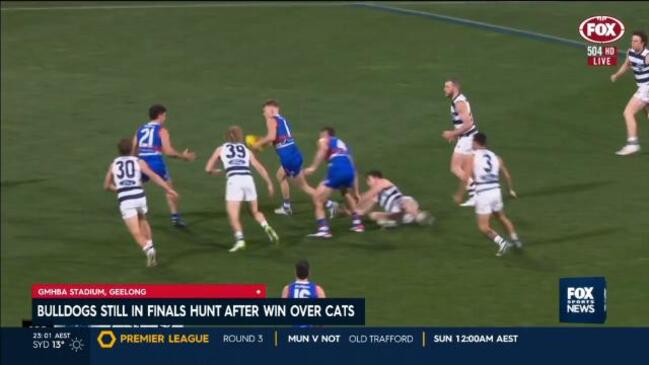 Dogs in finals hunt after win over Cats