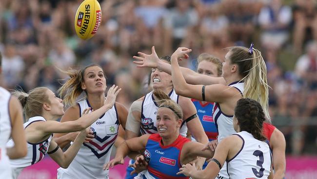 Can the Western Bulldogs repeat last year’s round one win against Fremantle? Photo: Wayne Ludbey