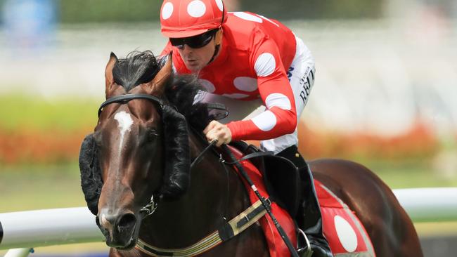 Sandbar will push his claims for a shot at the Golden Slipper when he steps out in the Skyline Stakes at Randwick on Saturday. Picture: Getty Images