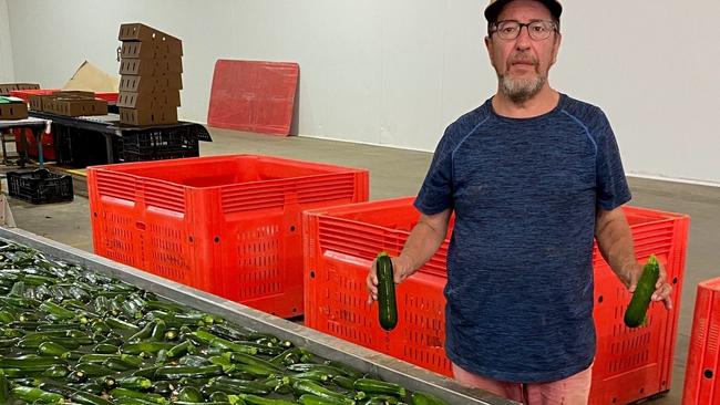 Victorian farmer Ross Marsolino is prepared to walk away from his zucchini crop if he doesn’t start getting a fair price from supermarkets. Picture: Supplied