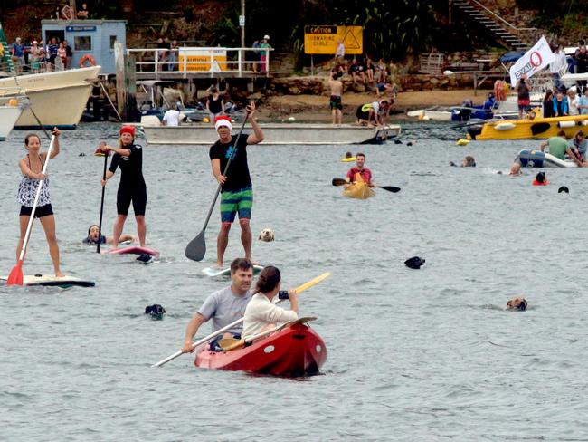 Church Point is the access point to the mainland for offshore residents. The annual dog paddle between Church Point and Scotland Island. Photo: Alec Kingham, Wednesday 24 December 2014