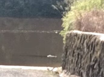 Bloomfield Boat Ramp where the croc attacked. Picture QLD Ambulance.jpg