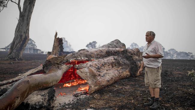 The scorched property of Brian Cole in Cobargo. Picture: Sean Davey.