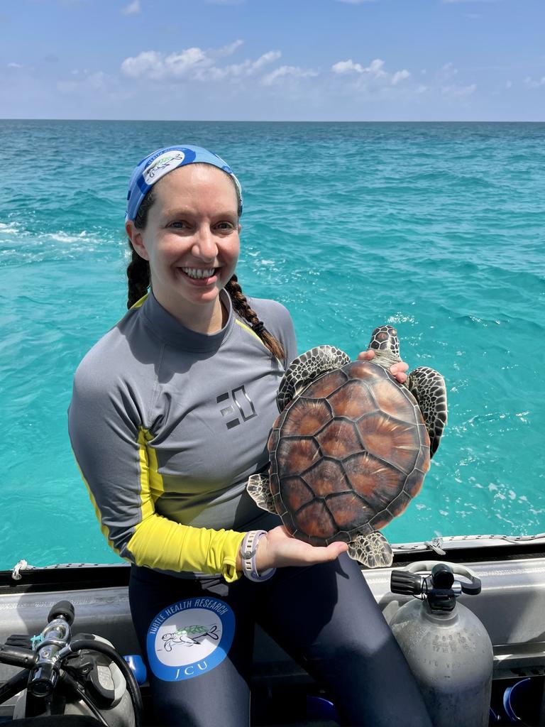 JCU researchers wave bittersweet goodbye to hand-raised turtles during ...